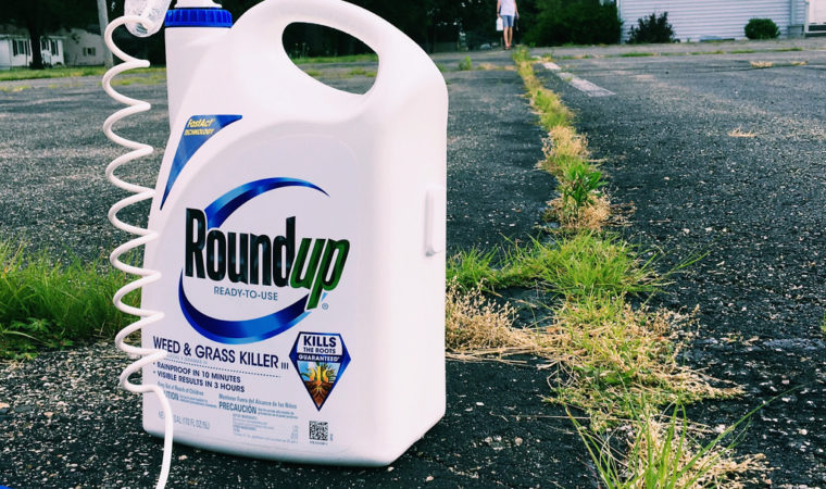 Roundup Weed Killer Cancer Claims Move to Trial