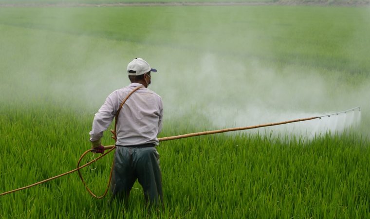 Bayer Assembles New Team as Roundup Cases Continue